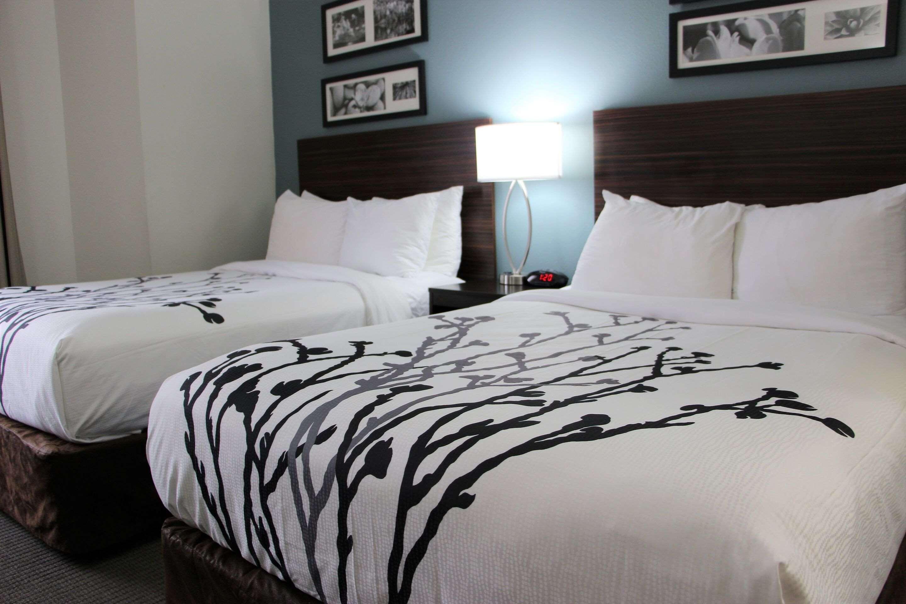 Sleep Inn Chattanooga Eksteriør billede