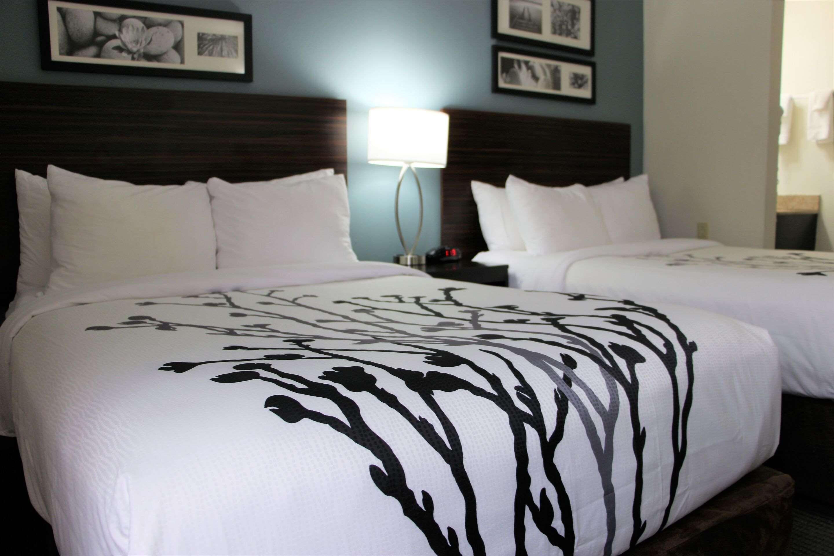 Sleep Inn Chattanooga Eksteriør billede